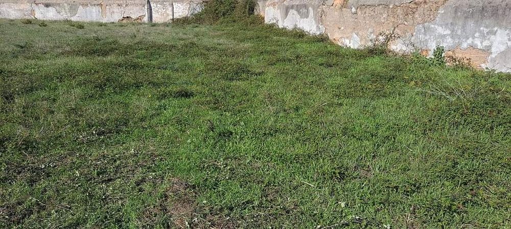 Limpeza de terrenos e jardins