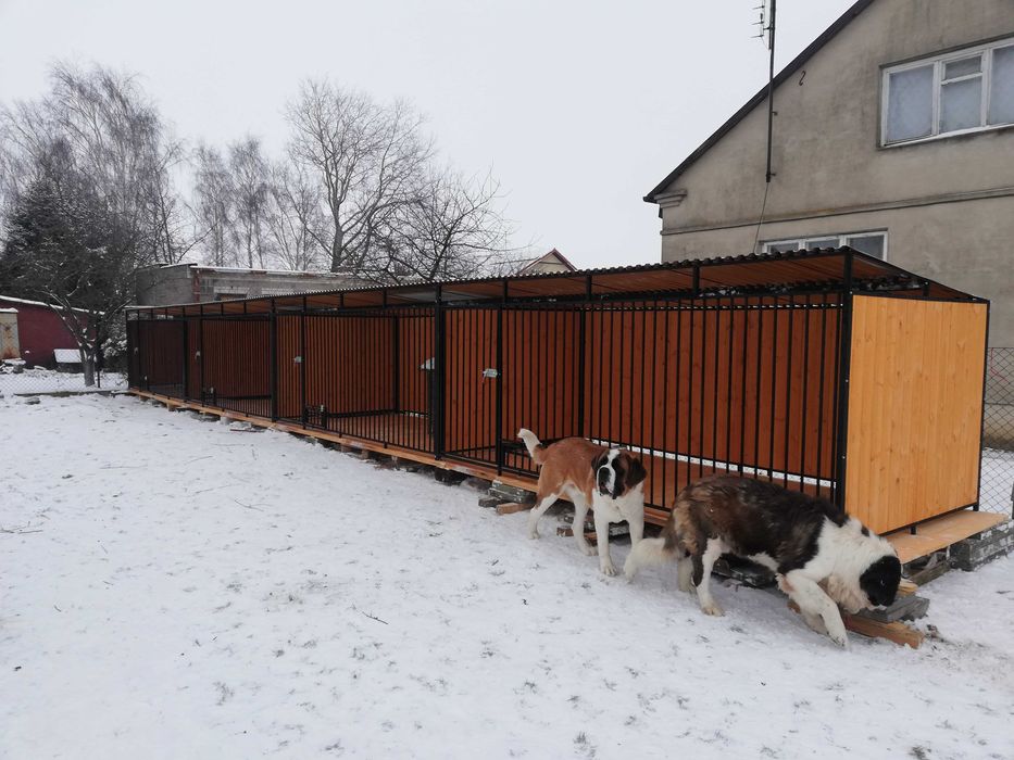 Kojec dla psa 16x2, kojce dla psów klatka szeregowa 4x2