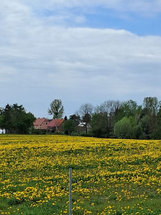 Sprzedam działki rekreacyjno budowlane