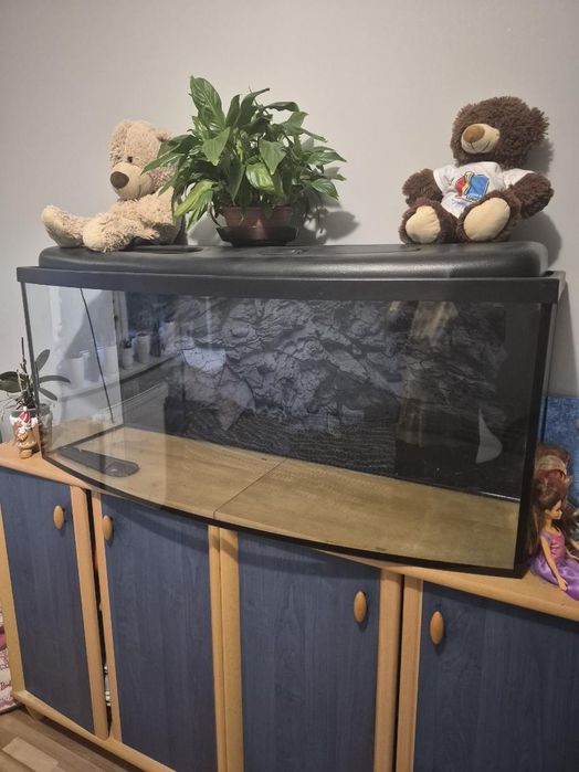 Akwarium plus oświetlenie i filtr