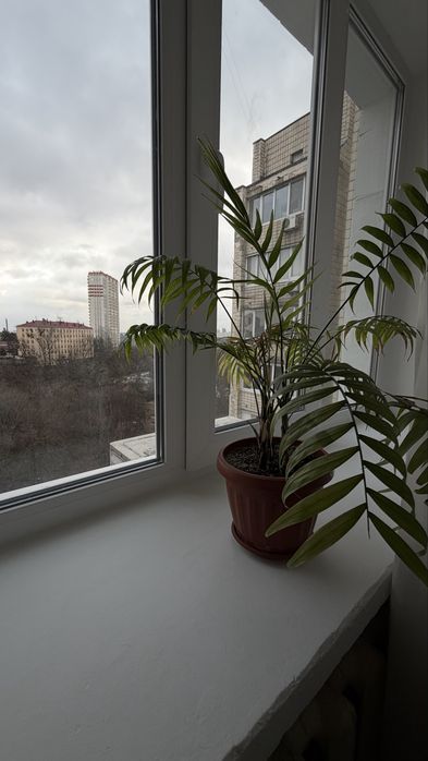 Радченко 4, цегляний будинок, метрові стіни, 3 кімнатна квартира