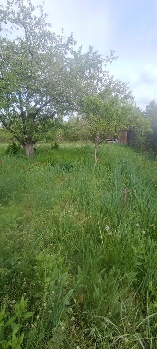 Продам будинок -дача в 5 км від міста,СТ Барвінок.