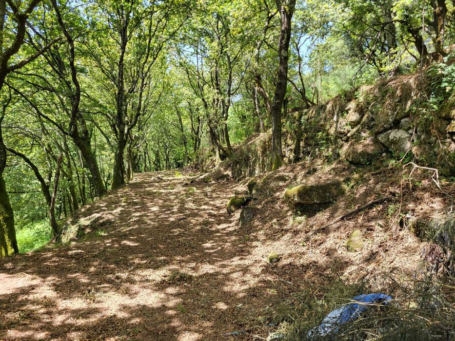 Terreno no Gerês com Ruína e Mina 3 Artigos 8.100m²