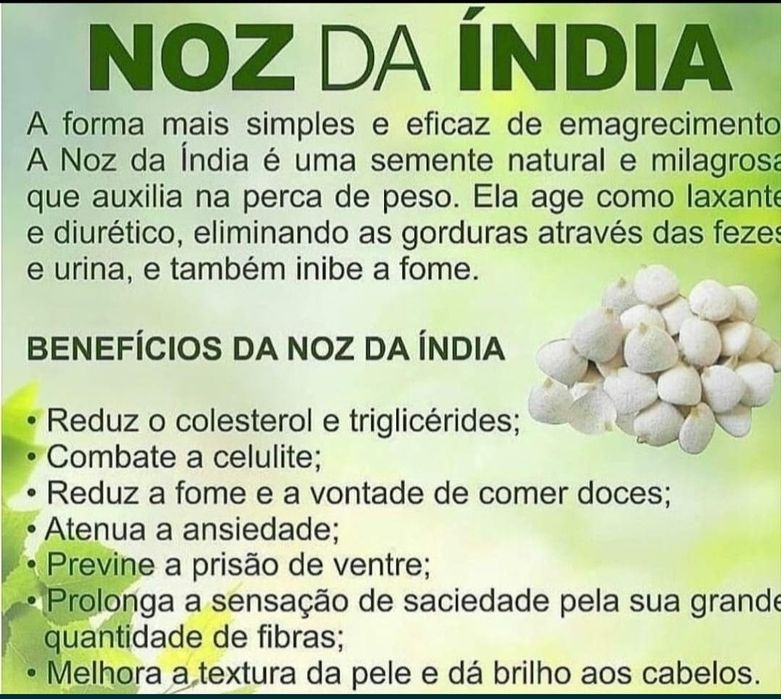 Noz da Índia - Emagrecimento saudável
