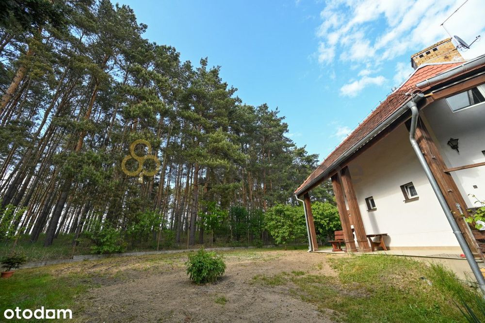 Dom – Zielona Góra, Osiedle Eden, Racula - Widok 4