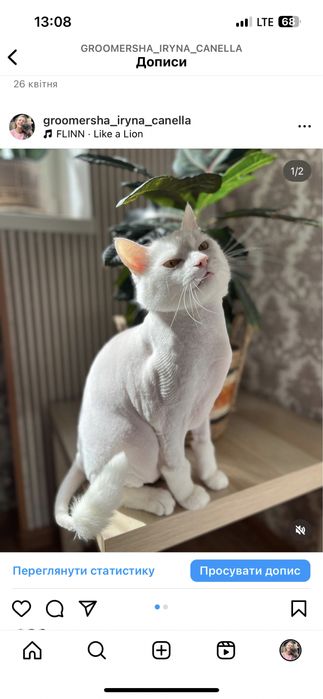 Святопетрівське Стрижка, грумінг котика,на виїзд,тиха машинка