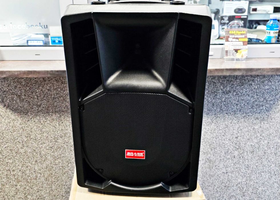 Kolumny estradowe Brass Tone Audio LNX1502 15" 1000W K&B Handel