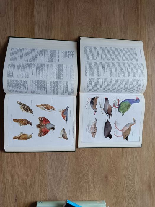 Moderna enciclopédia de animais