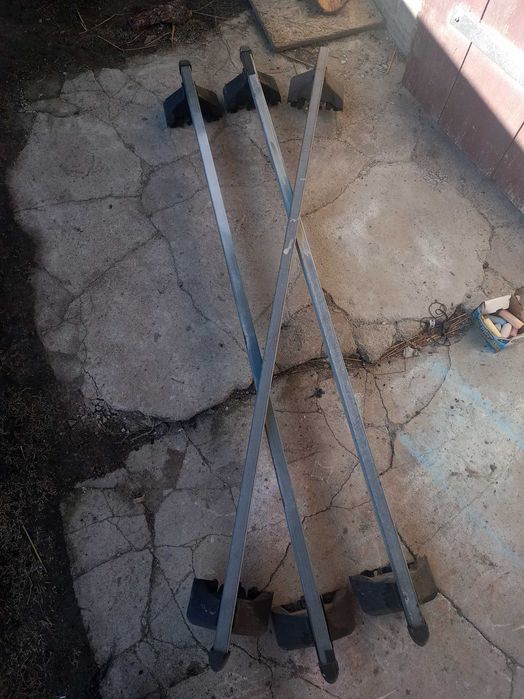 Belki dachowe trafic