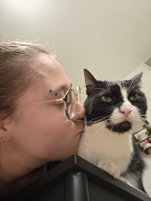 Opieka nad zwierzętami / Petsitter / Spacery z psem / Koty / Kraków