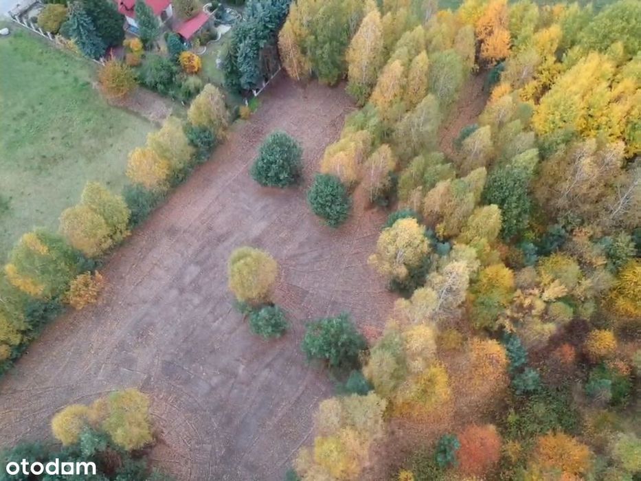 Działka rolno - budowlana 2279 m² Poschła koło Pilawy - View 6