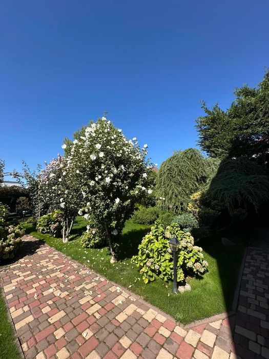 Дом по адресу ул. Спортивная (площадь 400 м²) - Atlanta.ua - фото 22