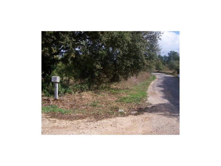 Land for Construction in Azoio - Pedreiras