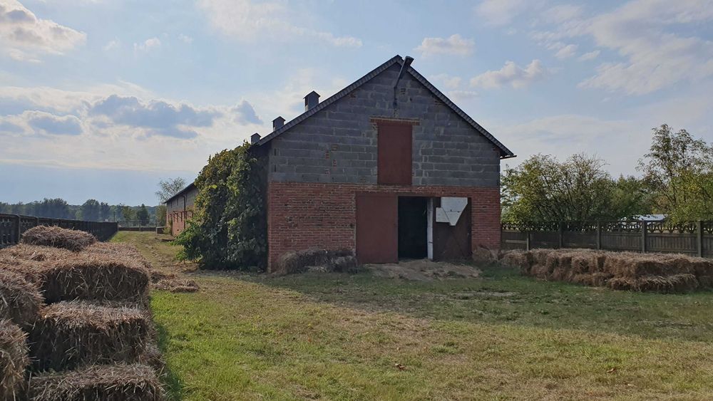 Gospodarstwo rolne / Siedlisko / Budynki gospodarcze > 700 m2 / Media