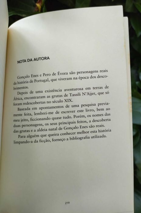 A Estrela de Gonçalo Enes (Rosa Lobato de Faria)