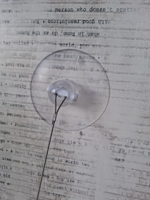 Legowisko dla kota lub małego psa do zawieszenia na oknie