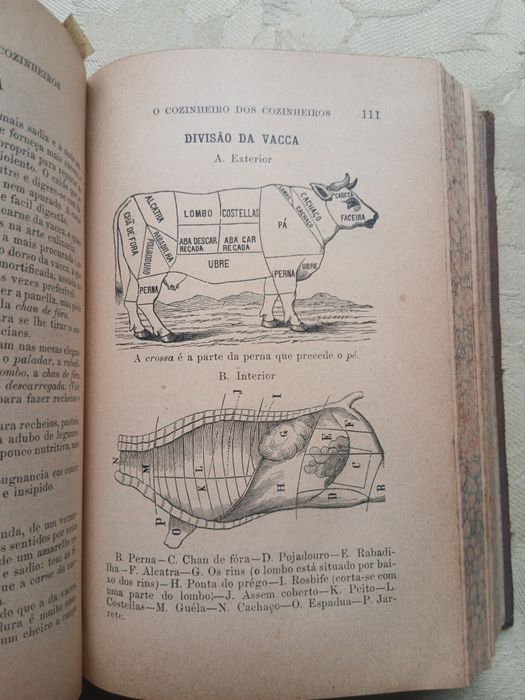 O Cozinheiro dos Cozinheiros (Encadernado, 1905)