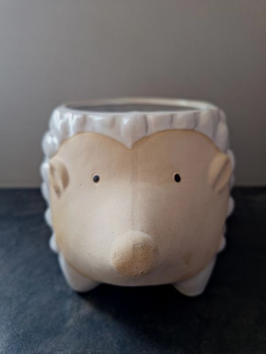 Ceramiczna osłonka JEŻ JEŻYK Nowa
