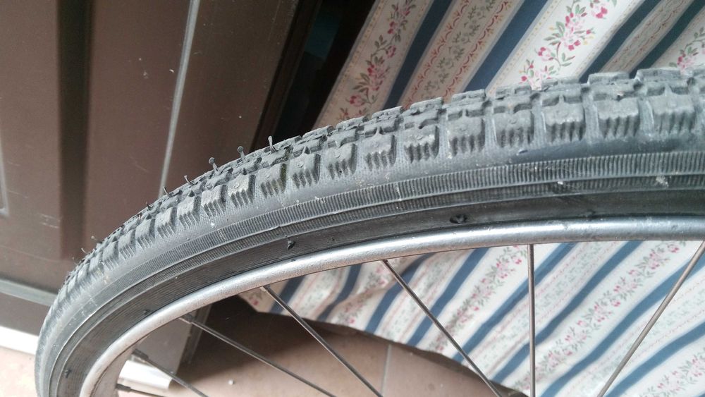 Bicicleta Pasteleira