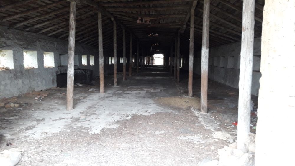 Ферма (фермерское хозяйство)