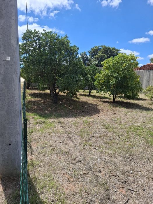 Lote de terreno Quinta do Anjo