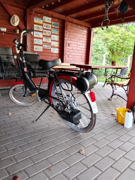 Rower Holenderski sparta Robbit