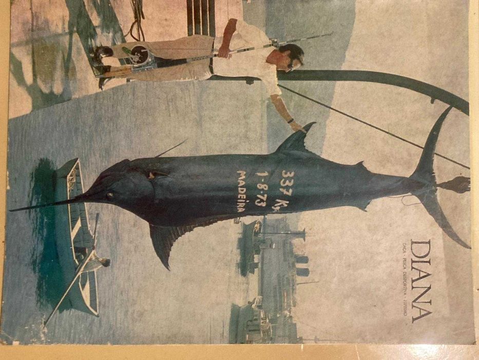 Fascículos da Revista Diana: Caça, Hipismo e Pesca (de 1966 a 1975)