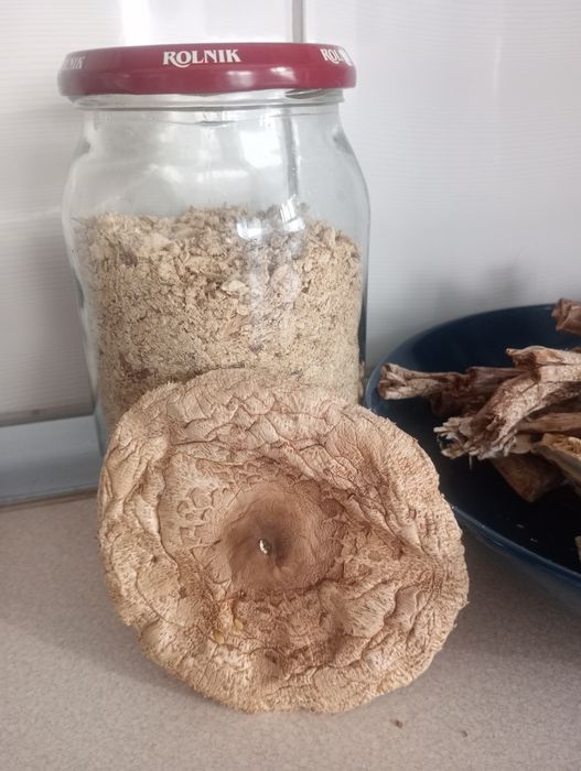 Grzyby świeże suszone mrożone