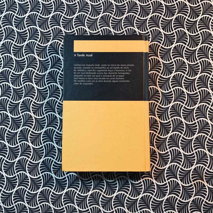 A Tarde Azul - William Boyd