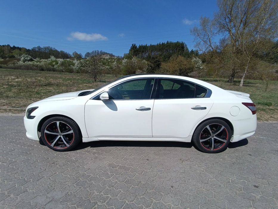 Nissan Maxima Limuzyna klasy premium - biała perła - doinwestowany
