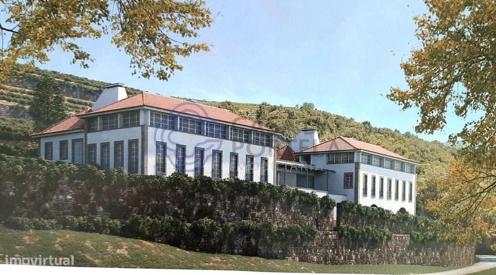 Quinta com 1413 m2 e Projecto de um Boutique Hotel, em Oliveira, Mesão