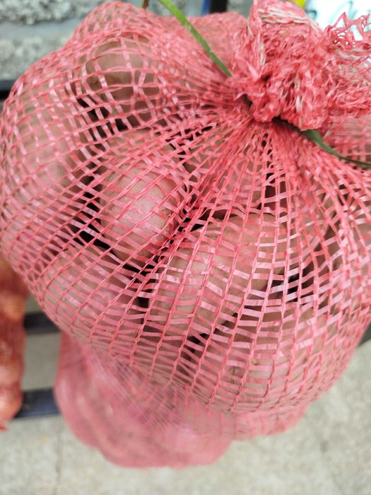 Batata Vermelha Nova - Direta do Produtor