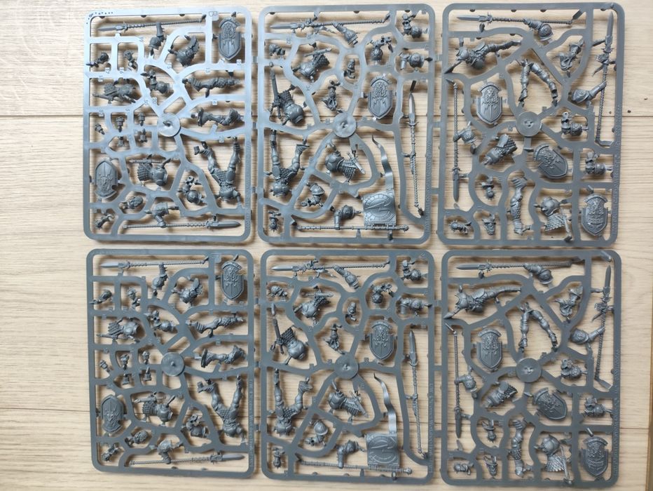 Stormcast Vindictors 10 - wypraska