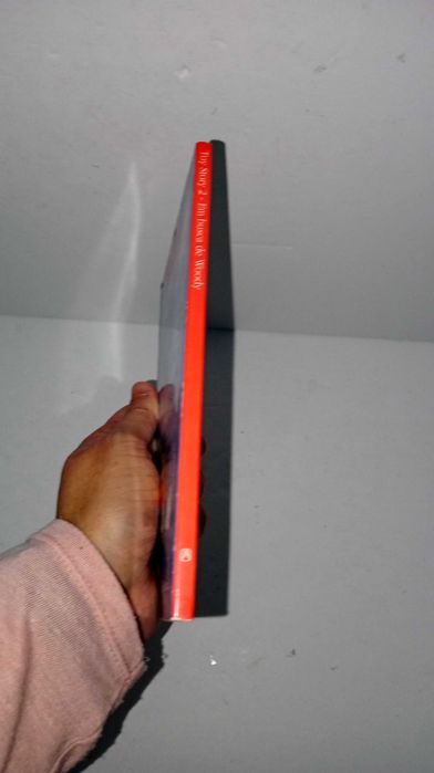 Toy Story 2 - Em Busca de Woody (Mini livros)