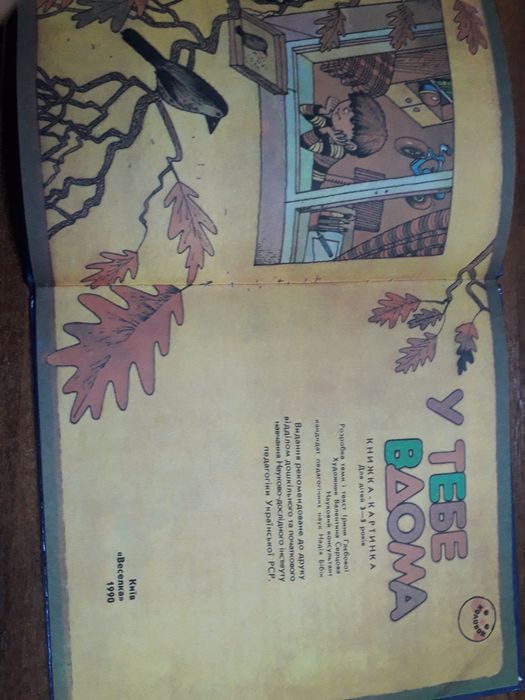 У тебе вдома. Київ, Веселка, 1990