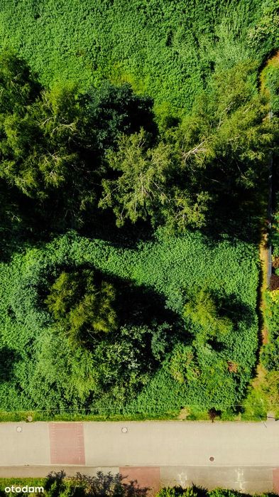 Mirków Działka Budowlana 1000 m² - Widok 3