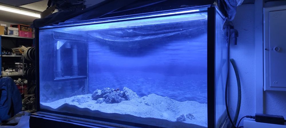 Aquário  300 litros - água salgada