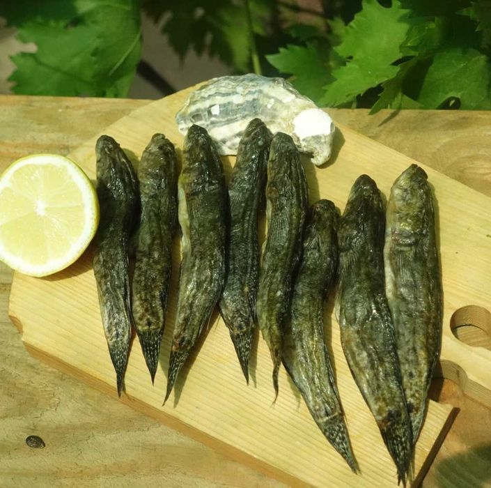 Бычок черноморский зеленчак вяленый 12-15см. Цена за 1кг