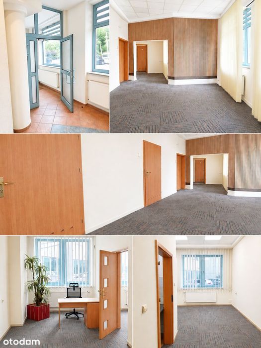 Biuro Do Wynajęcia - (100 M2) - Opole