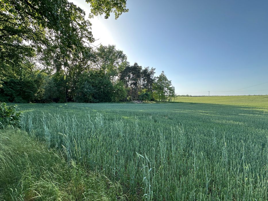 Działki pod rekreację