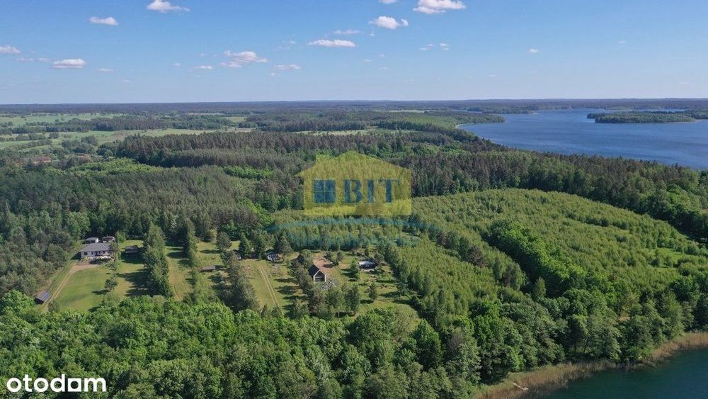 Działka 1,9968 ha nad jeziorem Siecino - Widok 6