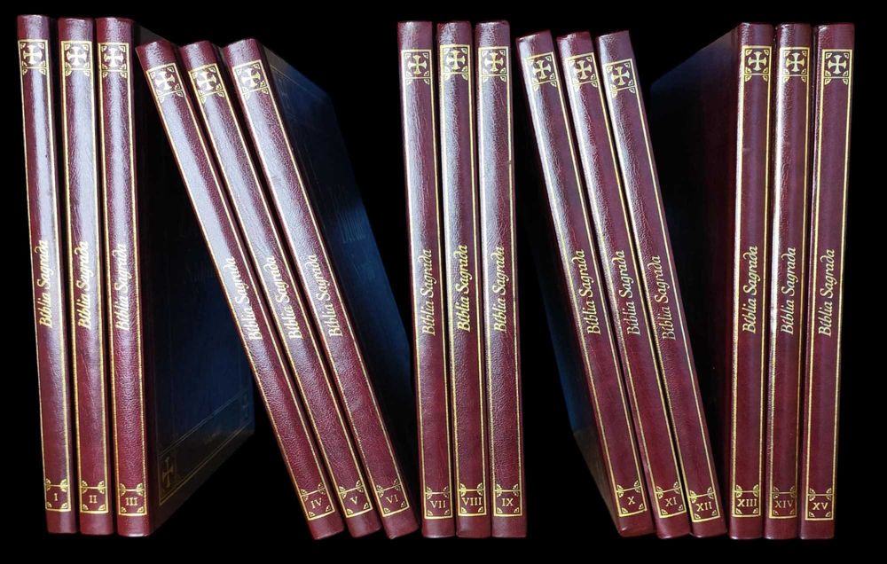 Bíblia Sagrada - 15 vol.