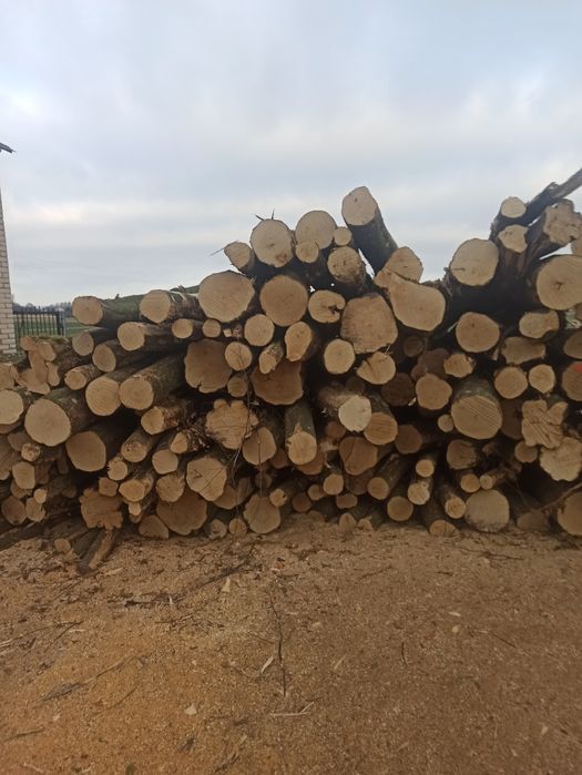 Drewno Opałowe, walki, kominkowe.