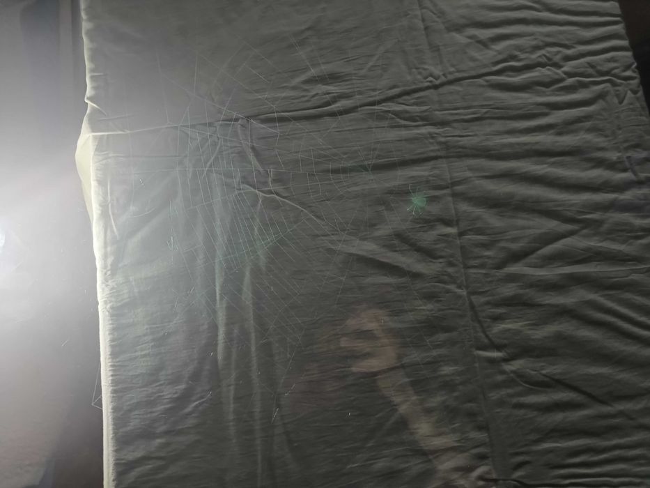 Szklany blat, grawer 3D