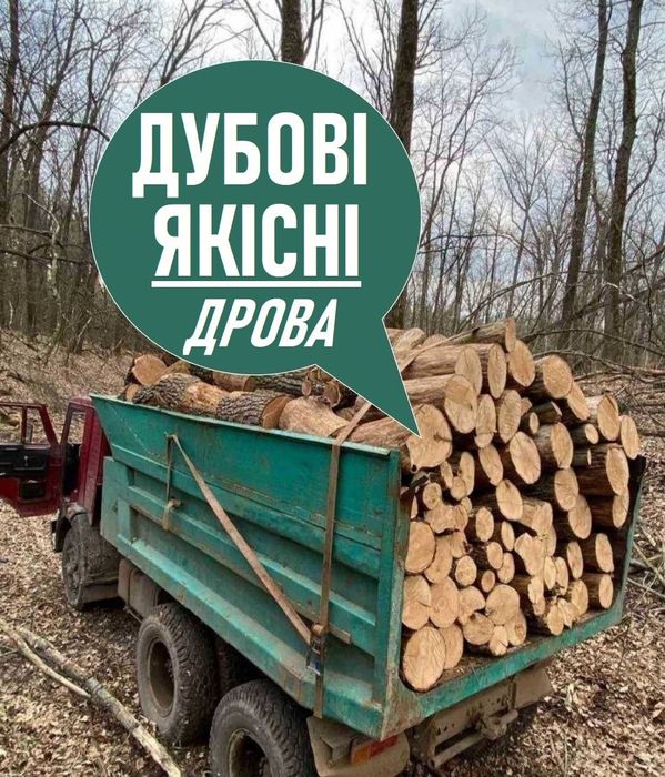 Дрова дубові з ділянки, колоди, колоті, напряму, 3-5-6-11 м3