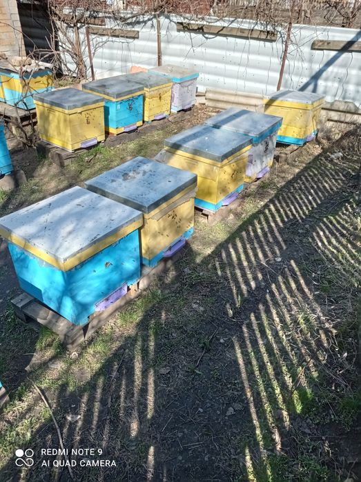 Продам улики для пчел, вулики дадан