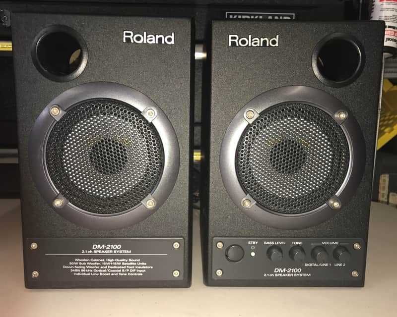 Monitores de Estúdio Roland DM 2100