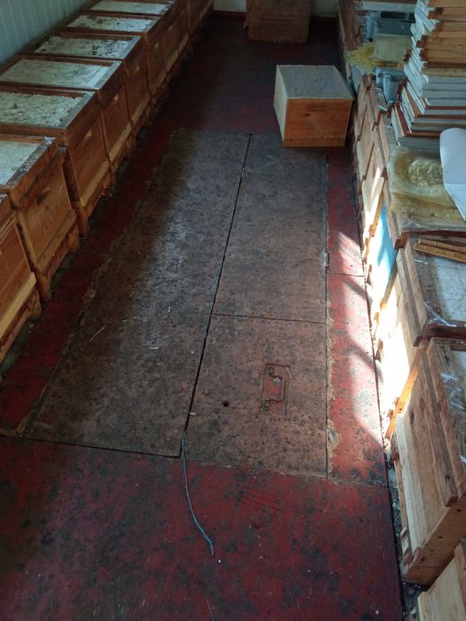 Бджолопавільйон на 30 сімей