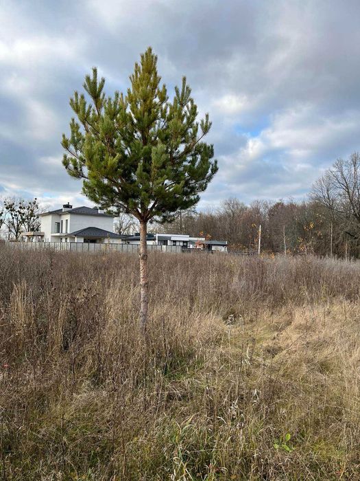 Продам ділянку (8340)