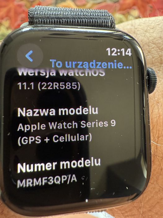 Aplle watch 9 45mm celuar